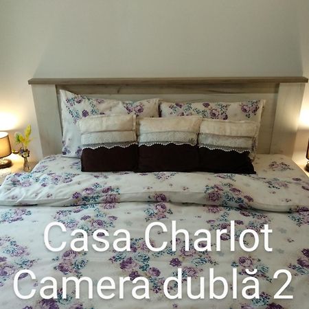 Casa Charlot Apartamento Braşov Exterior foto