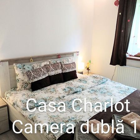 Casa Charlot Apartamento Braşov Exterior foto