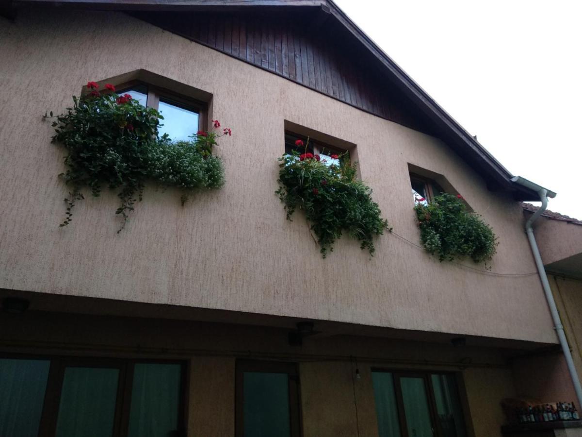 Casa Charlot Apartamento Braşov Exterior foto